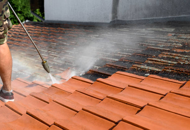 Best Affordable Pressure Washing  in Oconto Falls, WI
