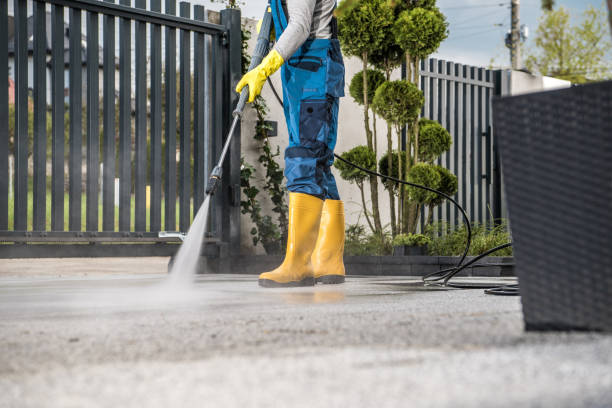 Best Affordable Pressure Washing  in Oconto Falls, WI