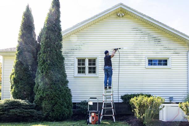 Best Deck Cleaning Services  in Oconto Falls, WI